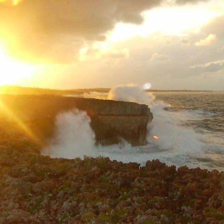 North Palmetto Point Pink Sand Cottage Cottage المظهر الخارجي الصورة